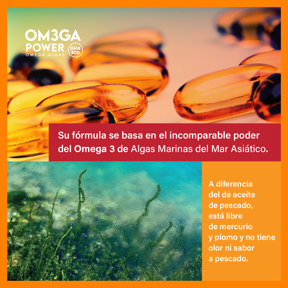 🧠💛 OMEGA 3 POWER – DHA 800